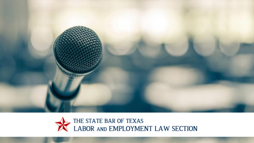 labor and employment law section